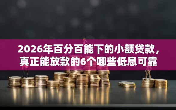 2026年百分百能下的小额贷款，真正能放款的6个哪些低息可靠可以分12期以上的借款平台推荐