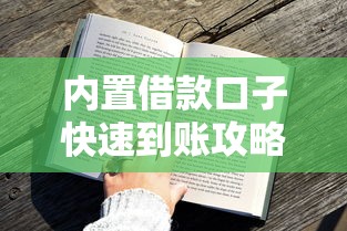 内置借款口子快速到账攻略大全
