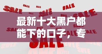 最新十大黑户都能下的口子，专治微信小成本借钱可靠吗