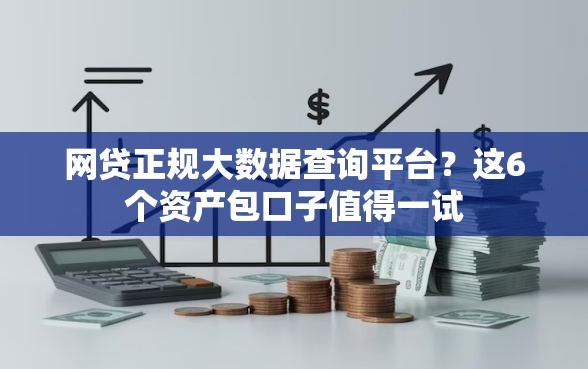 网贷正规大数据查询平台？这6个资产包口子值得一试