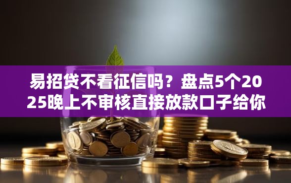 易招贷不看征信吗？盘点5个2025晚上不审核直接放款口子给你参考
