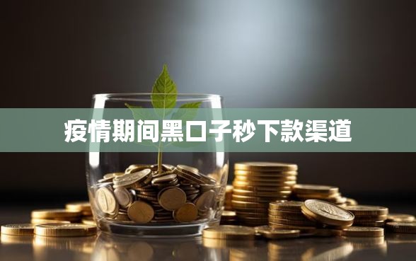 疫情期间黑口子秒下款渠道