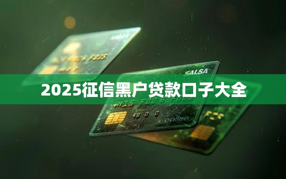 2025征信黑户贷款口子大全