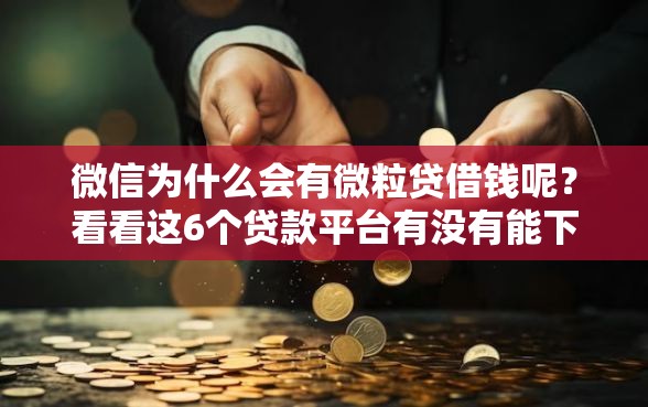 微信为什么会有微粒贷借钱呢？看看这6个贷款平台有没有能下款的