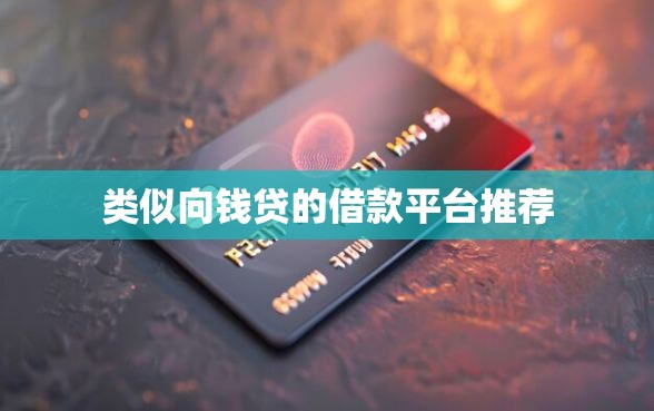 类似向钱贷的借款平台推荐