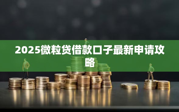 2025微粒贷借款口子最新申请攻略