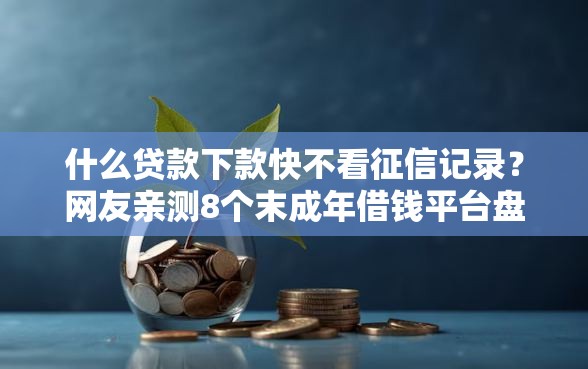 什么贷款下款快不看征信记录？网友亲测8个末成年借钱平台盘点