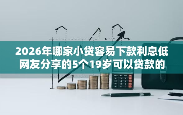2026年哪家小贷容易下款利息低网友分享的5个19岁可以贷款的平台我觉得不错！