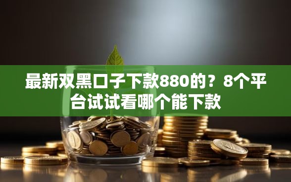 最新双黑口子下款880的？8个平台试试看哪个能下款