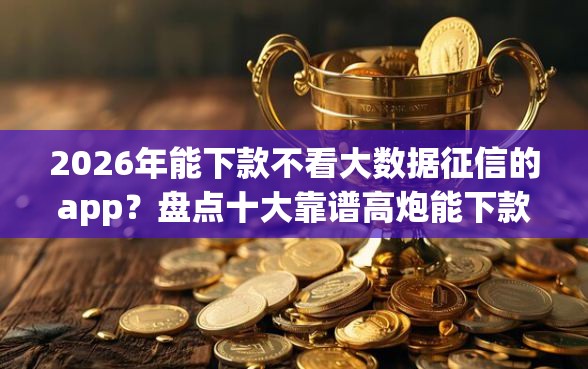 2026年能下款不看大数据征信的app？盘点十大靠谱高炮能下款的软件