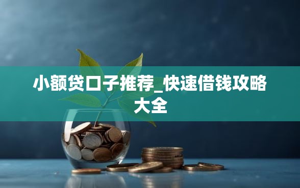 小额贷口子推荐_快速借钱攻略大全