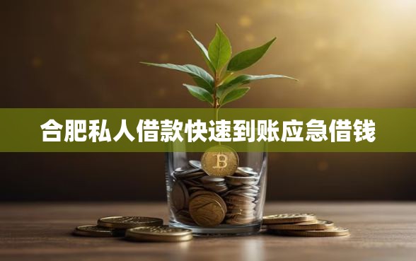 合肥私人借款快速到账应急借钱
