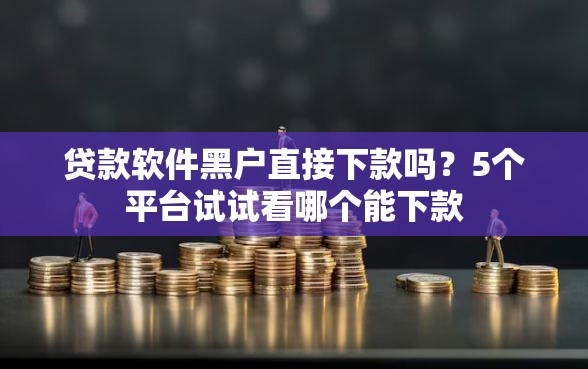 贷款软件黑户直接下款吗？5个平台试试看哪个能下款