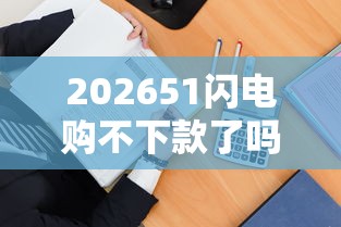 202651闪电购不下款了吗，差2000元就选这6个平台