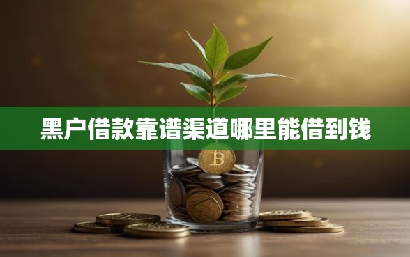 黑户借款靠谱渠道哪里能借到钱