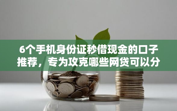 6个手机身份证秒借现金的口子推荐，专为攻克哪些网贷可以分36期48期难题