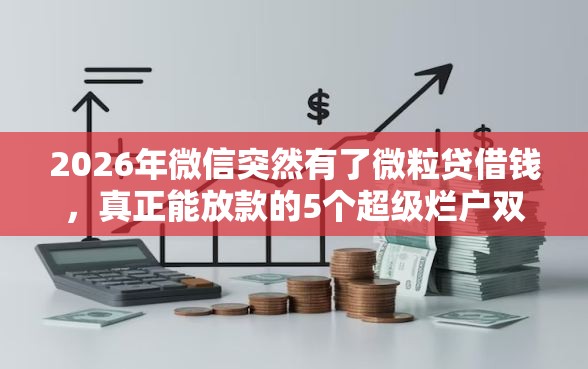 2026年微信突然有了微粒贷借钱，真正能放款的5个超级烂户双黑下款口子推荐