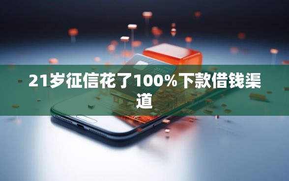 21岁征信花了100%下款借钱渠道