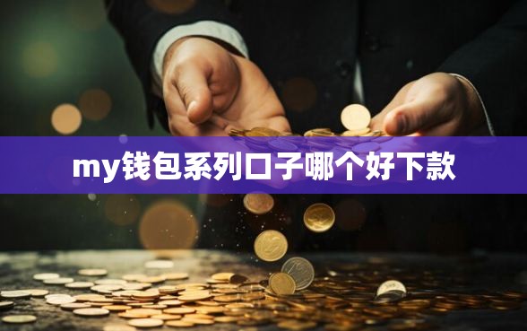 my钱包系列口子哪个好下款