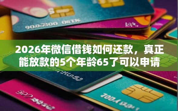 2026年微信借钱如何还款，真正能放款的5个年龄65了可以申请的网贷平台推荐