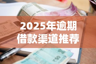 2025年逾期借款渠道推荐