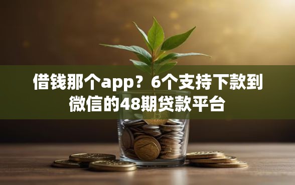 借钱那个app？6个支持下款到微信的48期贷款平台