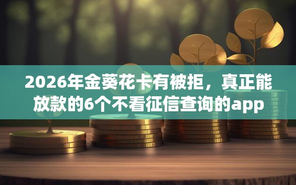 2026年金葵花卡有被拒，真正能放款的6个不看征信查询的app推荐