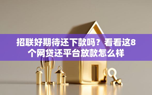 招联好期待还下款吗？看看这8个网贷还平台放款怎么样