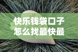 快乐钱袋口子怎么找最快最安全