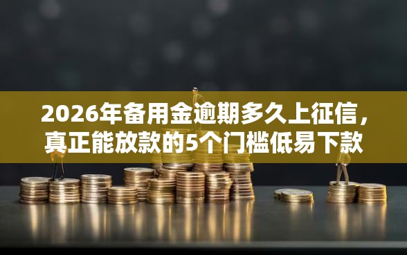 2026年备用金逾期多久上征信，真正能放款的5个门槛低易下款平台推荐