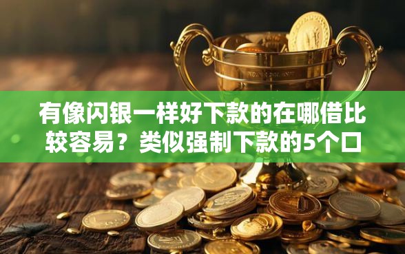 有像闪银一样好下款的在哪借比较容易？类似强制下款的5个口子参考