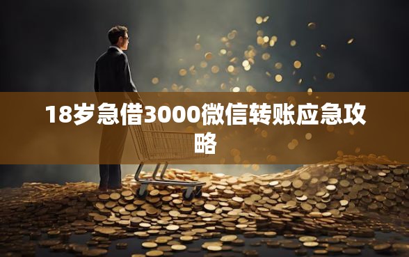 18岁急借3000微信转账应急攻略