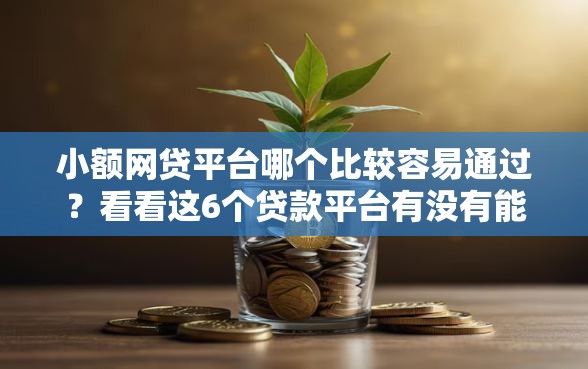 小额网贷平台哪个比较容易通过？看看这6个贷款平台有没有能下款的