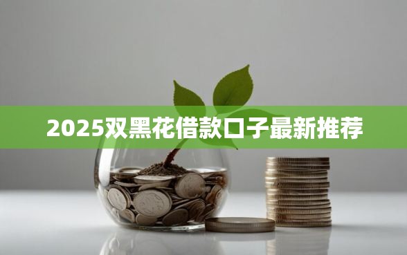 2025双黑花借款口子最新推荐