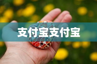 支付宝支付宝