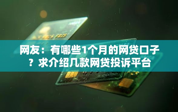 网友：有哪些1个月的网贷口子？求介绍几款网贷投诉平台