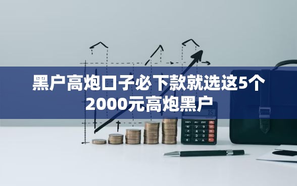 黑户高炮口子必下款就选这5个2000元高炮黑户