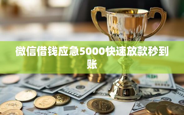 微信借钱应急5000快速放款秒到账
