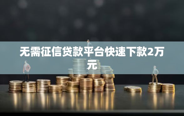 无需征信贷款平台快速下款2万元