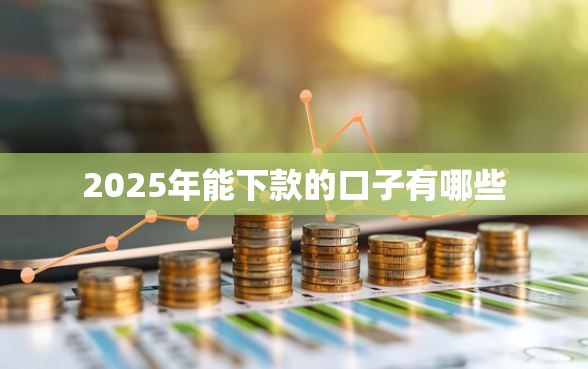2025年能下款的口子有哪些