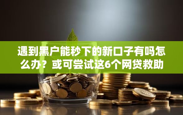 遇到黑户能秒下的新口子有吗怎么办？或可尝试这6个网贷救助平台