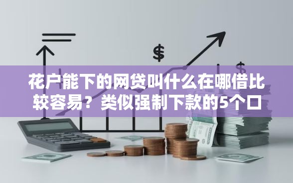 花户能下的网贷叫什么在哪借比较容易？类似强制下款的5个口子参考