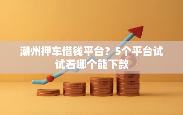 潮州押车借钱平台？5个平台试试看哪个能下款