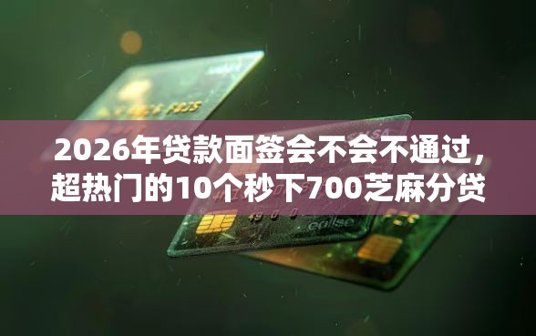 2026年贷款面签会不会不通过，超热门的10个秒下700芝麻分贷款平台推荐