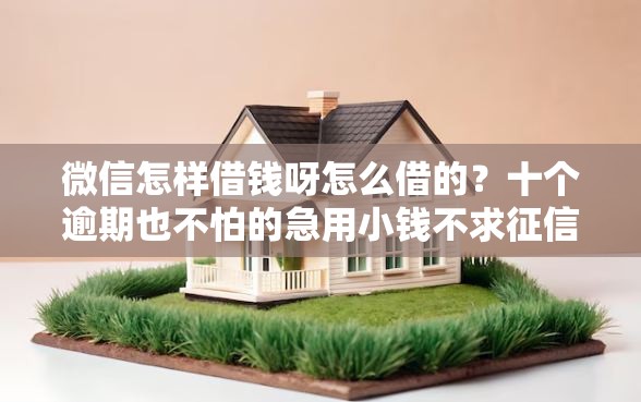 微信怎样借钱呀怎么借的？十个逾期也不怕的急用小钱不求征信流水轻松贷的软件