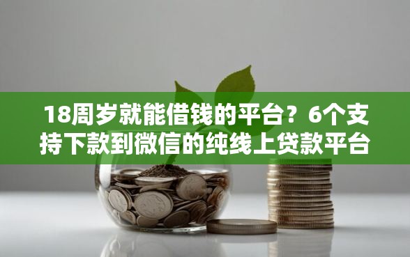 18周岁就能借钱的平台？6个支持下款到微信的纯线上贷款平台