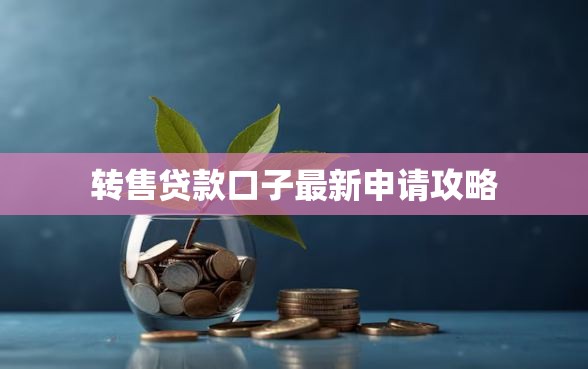 转售贷款口子最新申请攻略