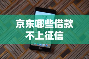 京东哪些借款不上征信