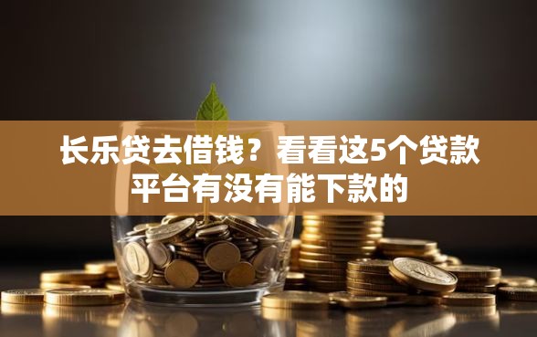 长乐贷去借钱？看看这5个贷款平台有没有能下款的