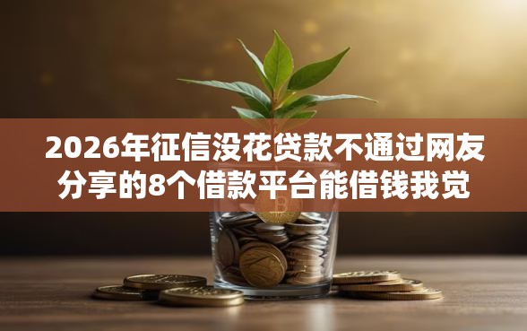 2026年征信没花贷款不通过网友分享的8个借款平台能借钱我觉得不错！
